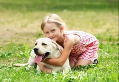 養狗一陣子，狗記一輩子