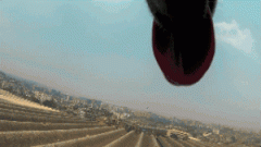 請你放過狗狗，不愛，但請別傷害！