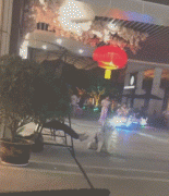 假如狗子能上網打字發圈，它會說... ?